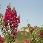 Mariza Corfu Vilă