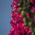 Mariza Corfu ヴィラ Kamara (Corfu)