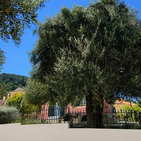 Mariza Corfu *