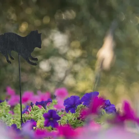 Mariza Corfu Kamara (Corfu)