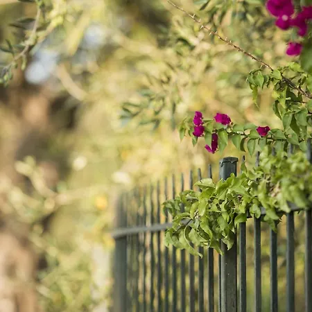 Mariza Corfu בית נופש *