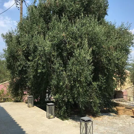 Mariza Corfu Kamara (Corfu)