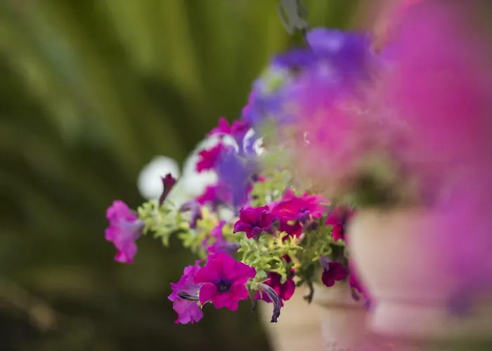 Mariza Corfu Casa de Férias Kamara (Corfu)