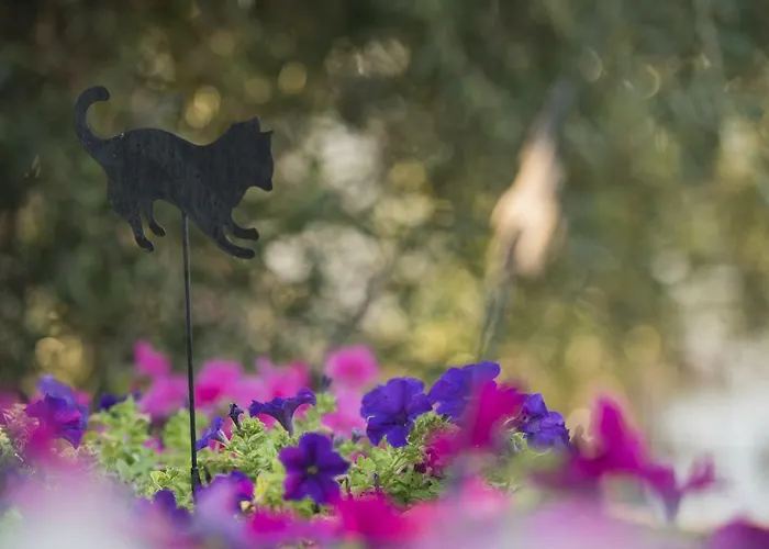 Mariza Corfu Kamara (Corfu)