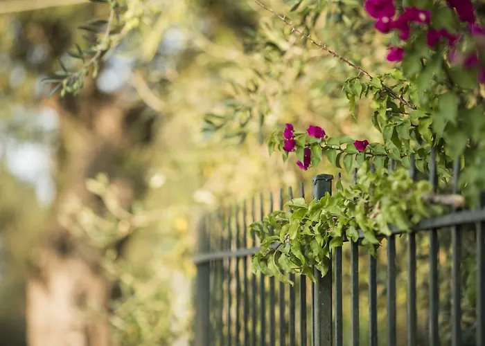 Mariza Corfu Casa de Férias *