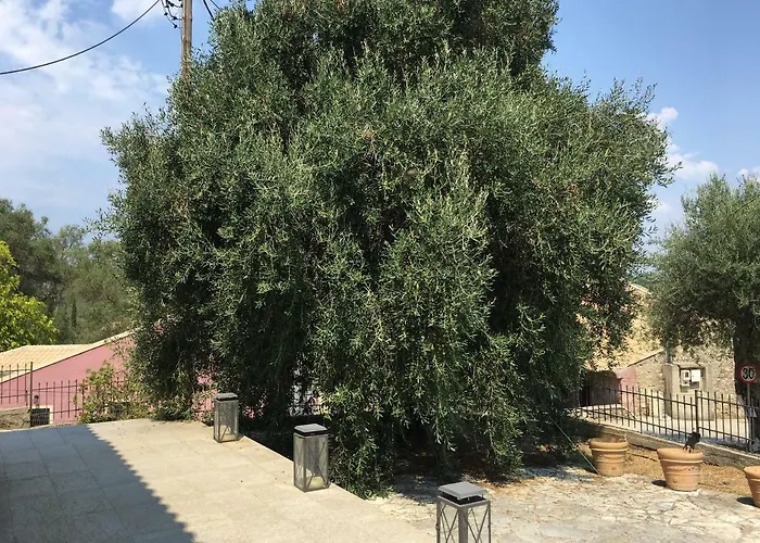 Mariza Corfu Kamara (Corfu)