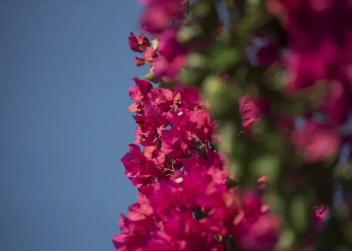 Mariza Corfu Casa de Férias Kamara (Corfu)