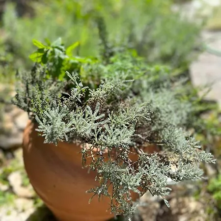 Σπίτι διακοπών Mariza Corfu Kamara (Corfu)