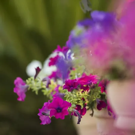 Mariza Corfu Σπίτι διακοπών Kamara (Corfu)